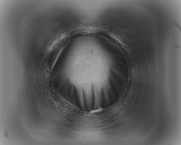 X0000099451447200805231730