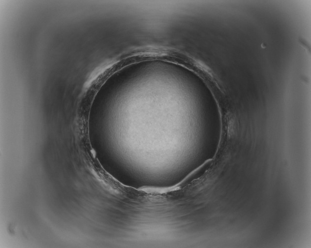 X0000099451448200805231730