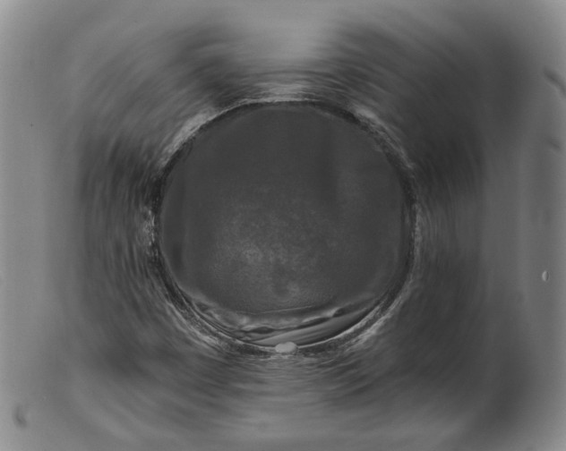 X0000099451449200805231730