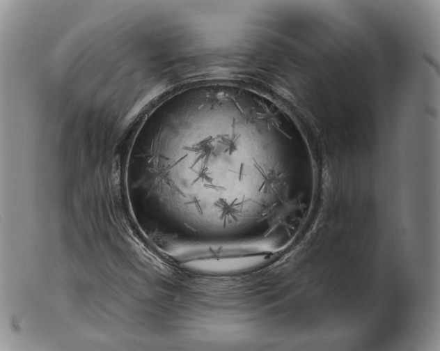 X0000099451450200805231730