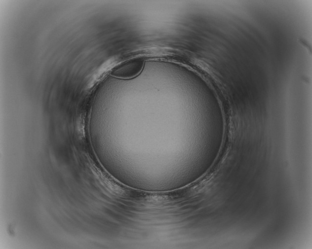 X0000099451451200805231730