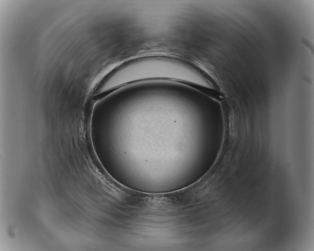 X0000099451452200805231730