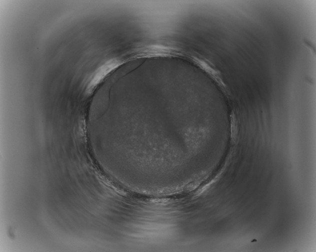 X0000099451453200805231730