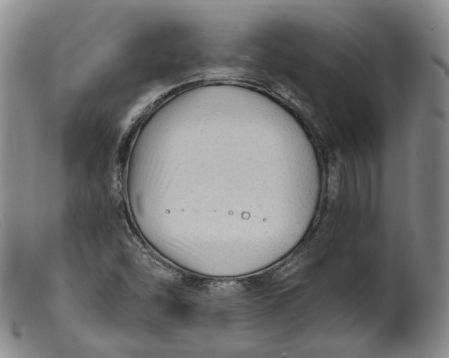 X0000099451454200805231730