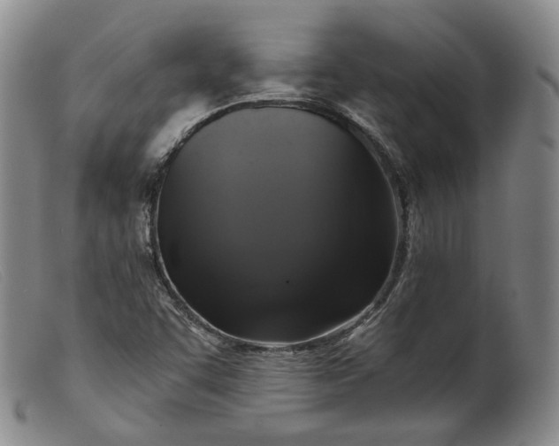 X0000099451455200805231730