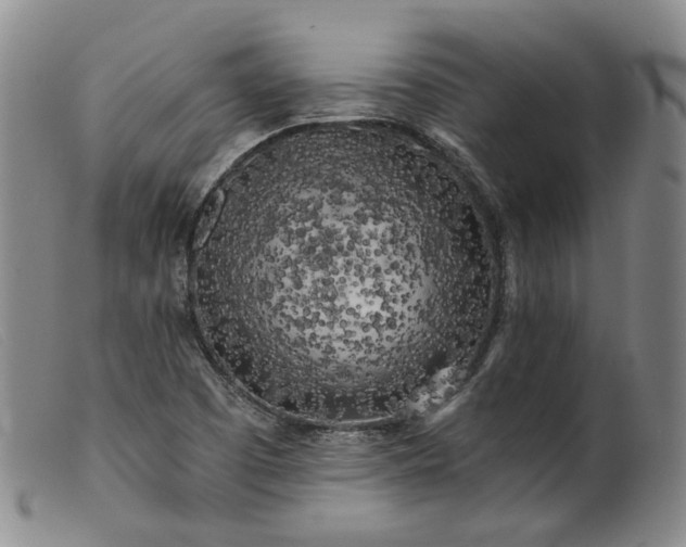 X0000099451457200805231730