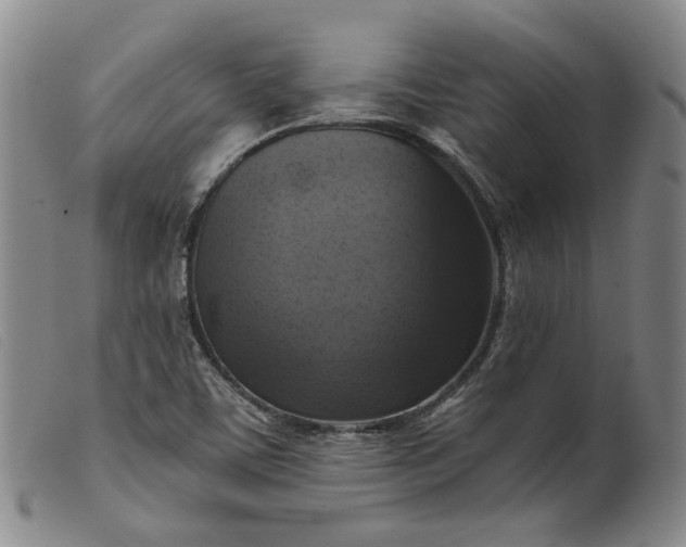 X0000099451459200805231730