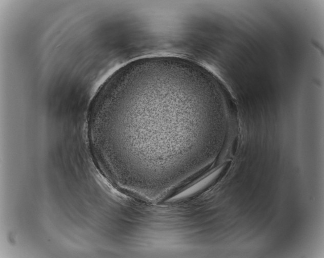 X0000099451460200805231730