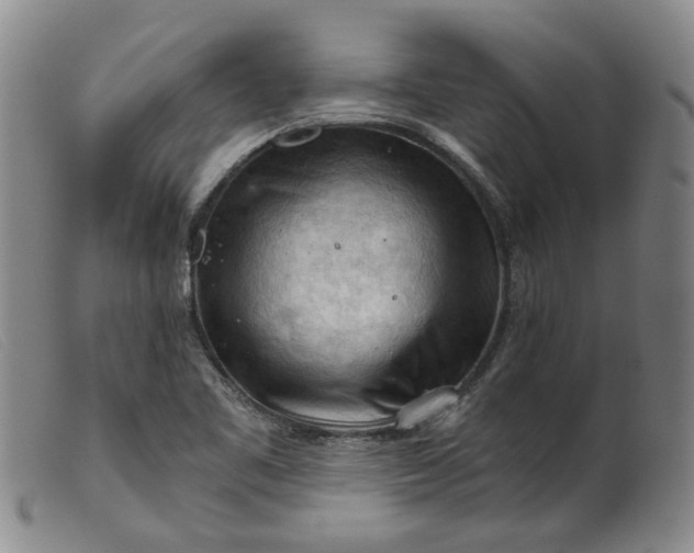 X0000099451461200805231730