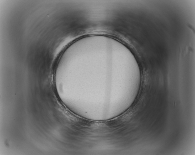 X0000099451462200805231730