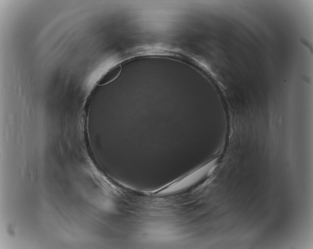 X0000099451463200805231730