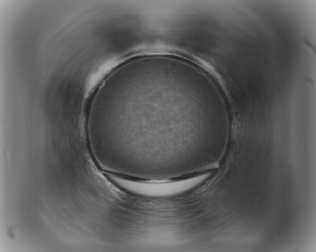 X0000099451464200805231730