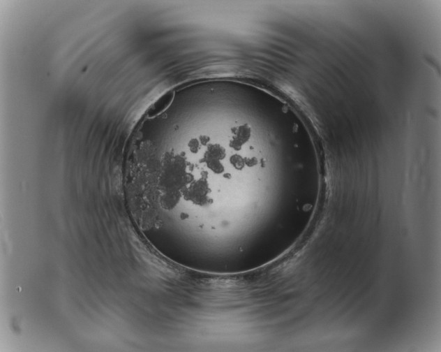 X0000099451465200805231730