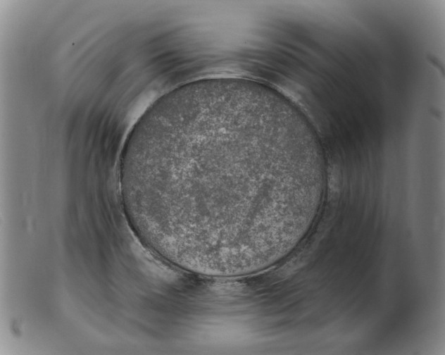 X0000099451466200805231730