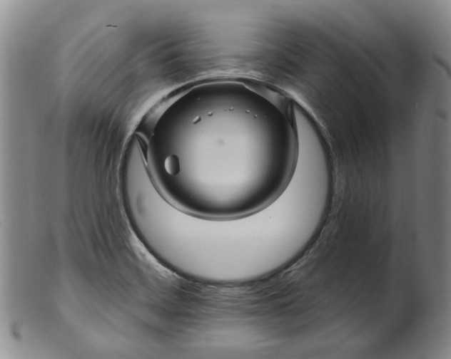 X0000099451468200805231730