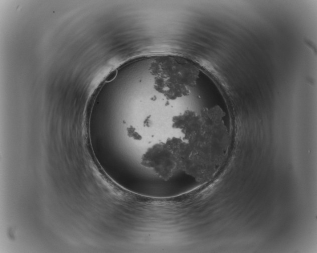 X0000099451469200805231730