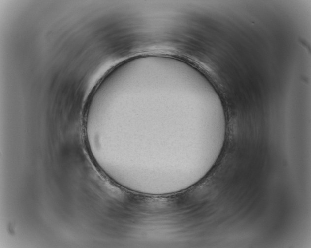 X0000099451470200805231730