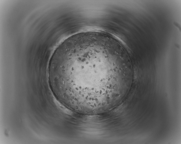 X0000099451471200805231730