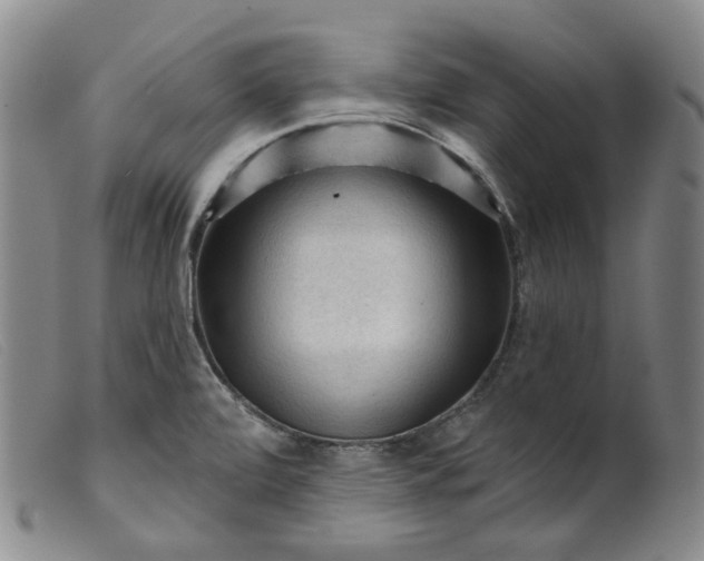 X0000099451472200805231730