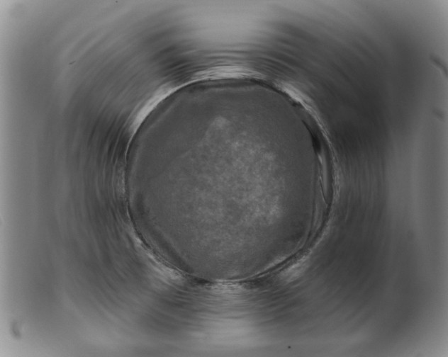 X0000099451473200805231730