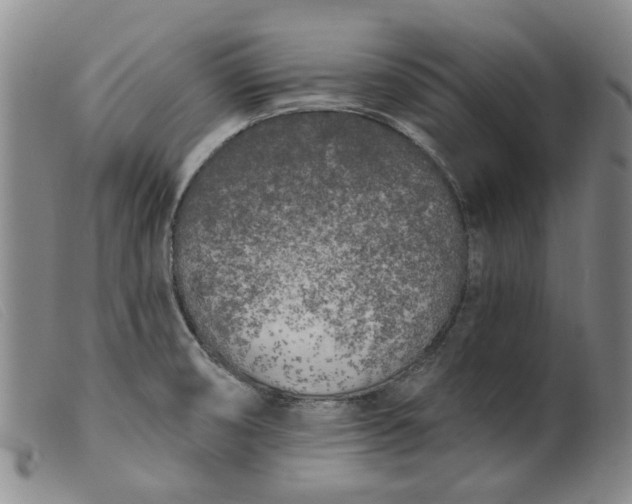 X0000099451474200805231730