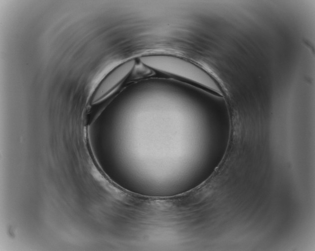 X0000099451476200805231730