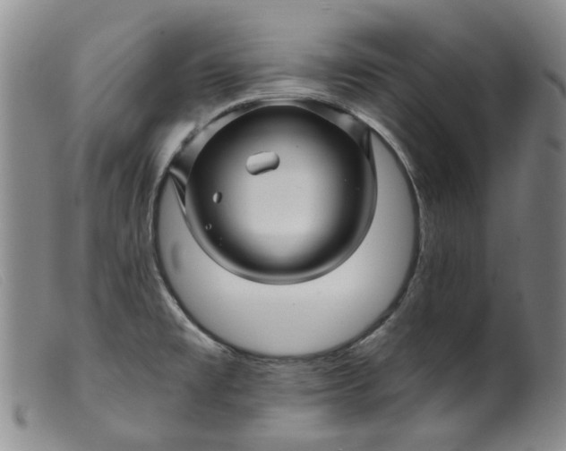 X0000099451477200805231730