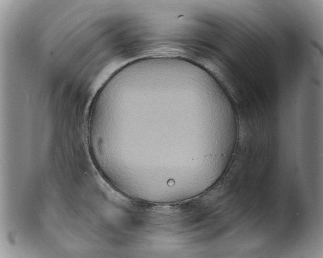 X0000099451478200805231729