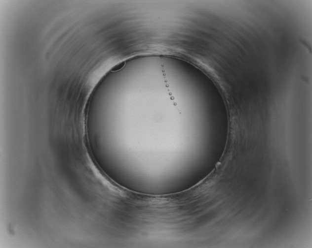 X0000099451479200805231729