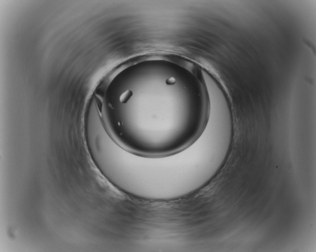 X0000099451480200805231729