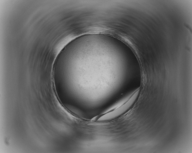 X0000099451487200805231729