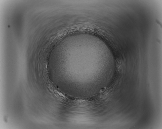 X0000099451489200805231728