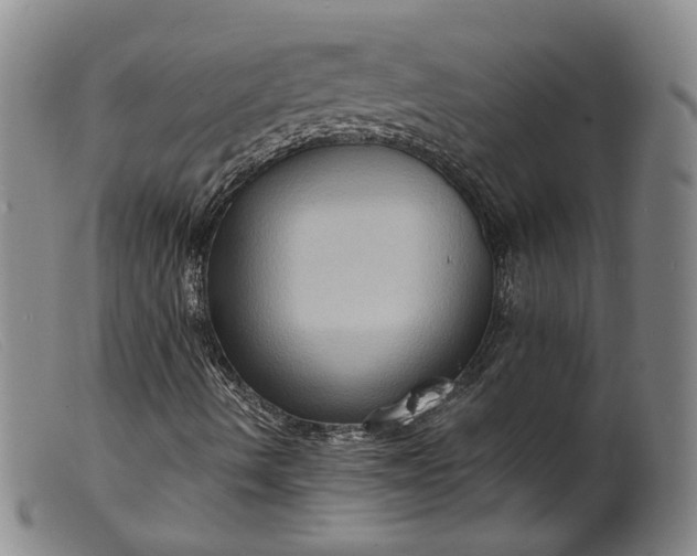 X0000099451490200805231728