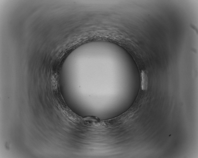 X0000099451491200805231728