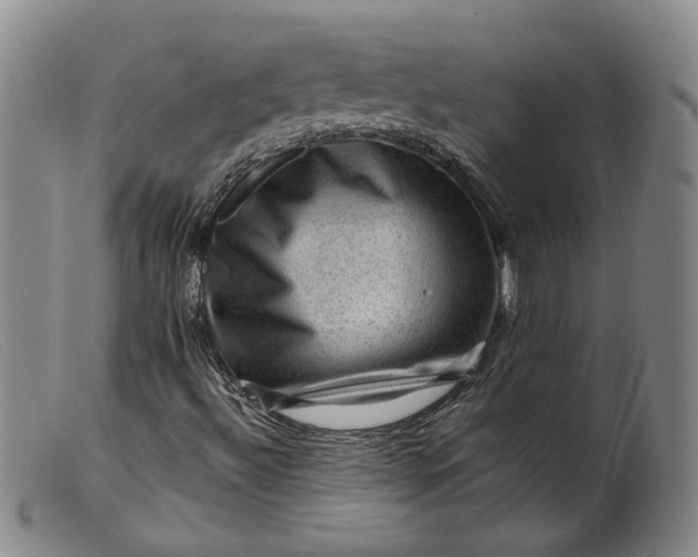 X0000099451492200805231728