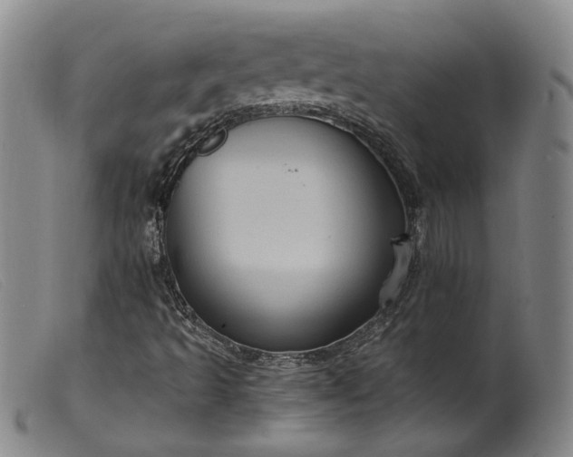 X0000099451493200805231728