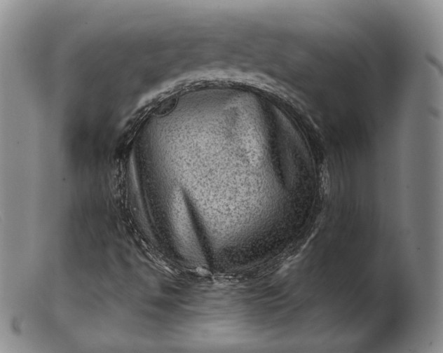 X0000099451494200805231728