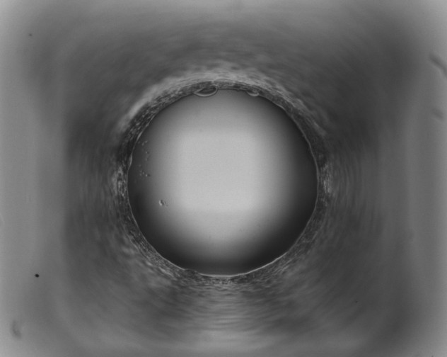 X0000099451495200805231728