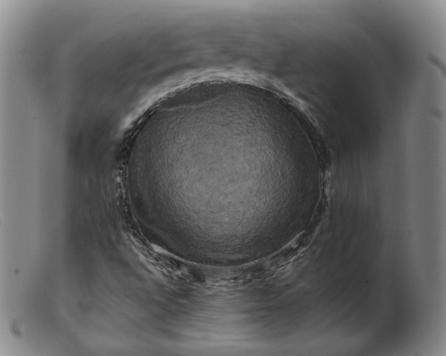 X0000099451496200805231728