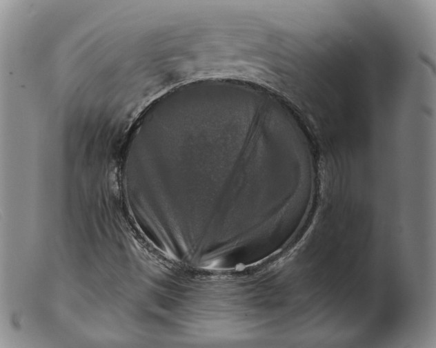 X0000099451497200805231728