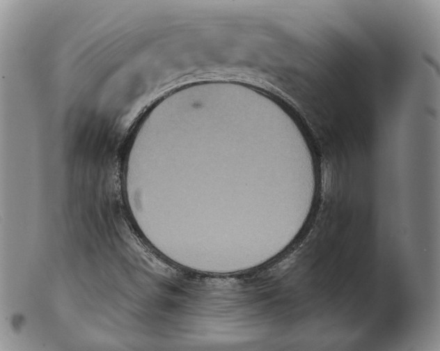 X0000099451498200805231728