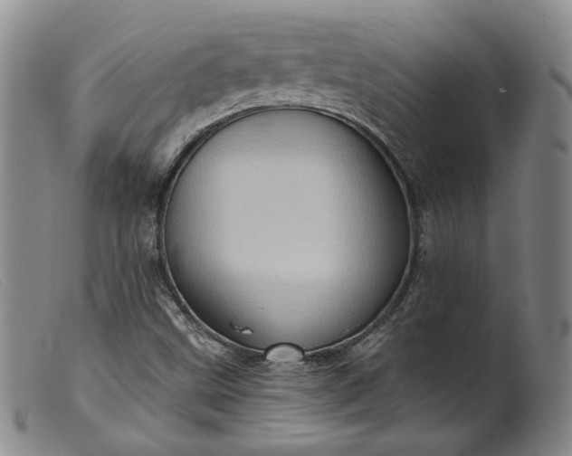 X0000099451499200805231728