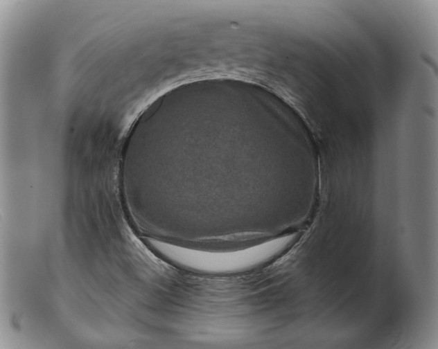 X0000099451500200805231729