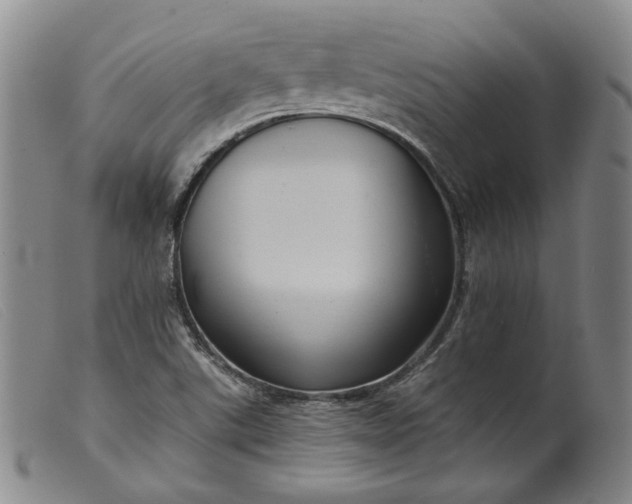 X0000099451507200805231729