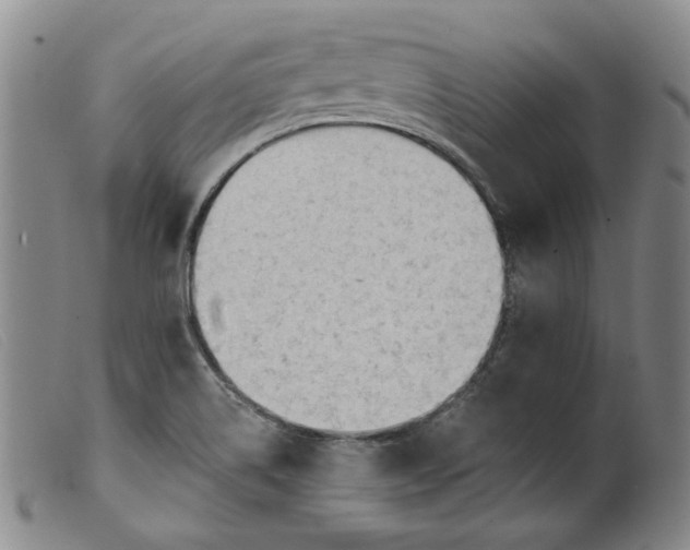 X0000099451514200805231729