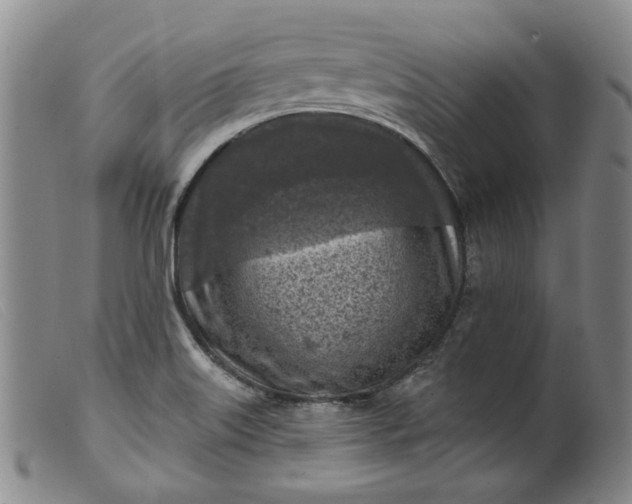 X0000099451515200805231729