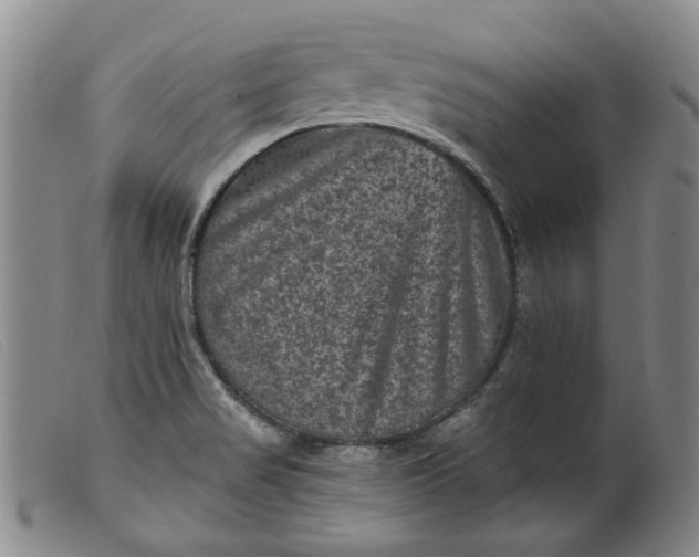 X0000099451517200805231729