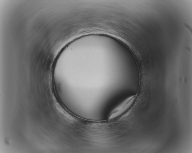 X0000099451518200805231729