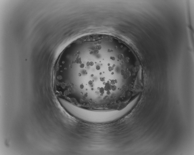 X0000099451520200805231729