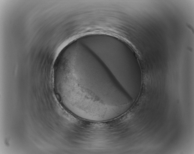 X0000099451522200805231729